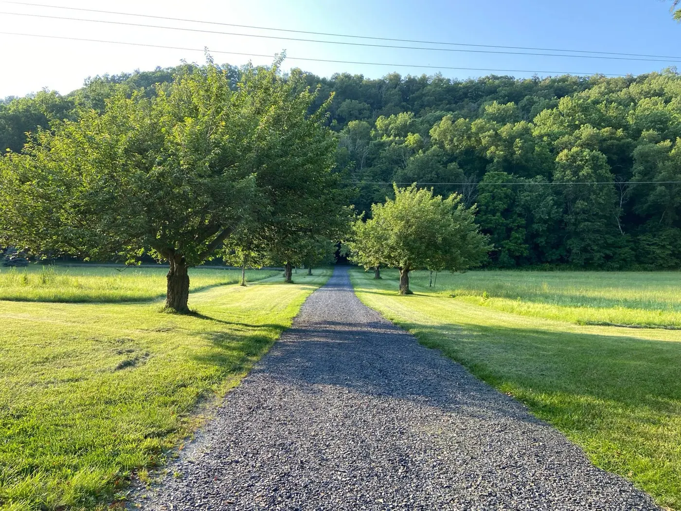 Long gravel farm lane running between green fields