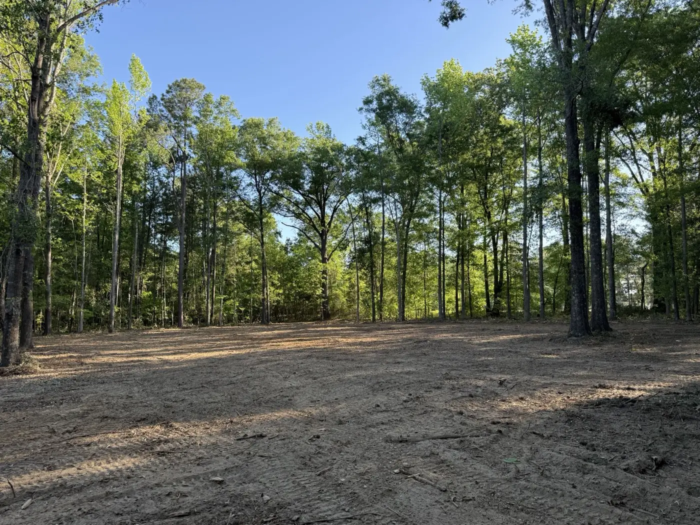 Woodlot with the understory cleaned out between hardwoods